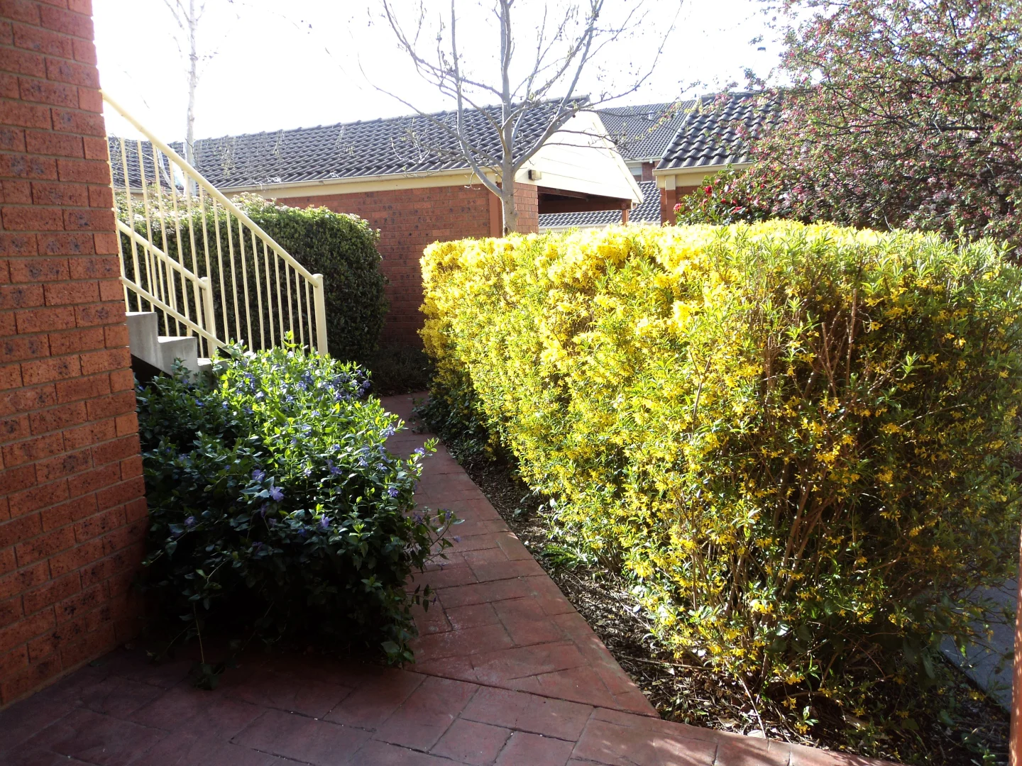 Additional image 13 of 23/12 Albermarle Place, Phillip ACT 2606