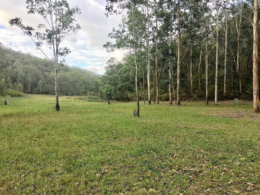 Lot 12 Watagan Creek Road, Laguna NSW 2325, Image 2