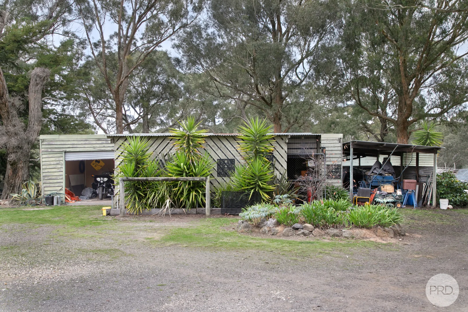 Image 17