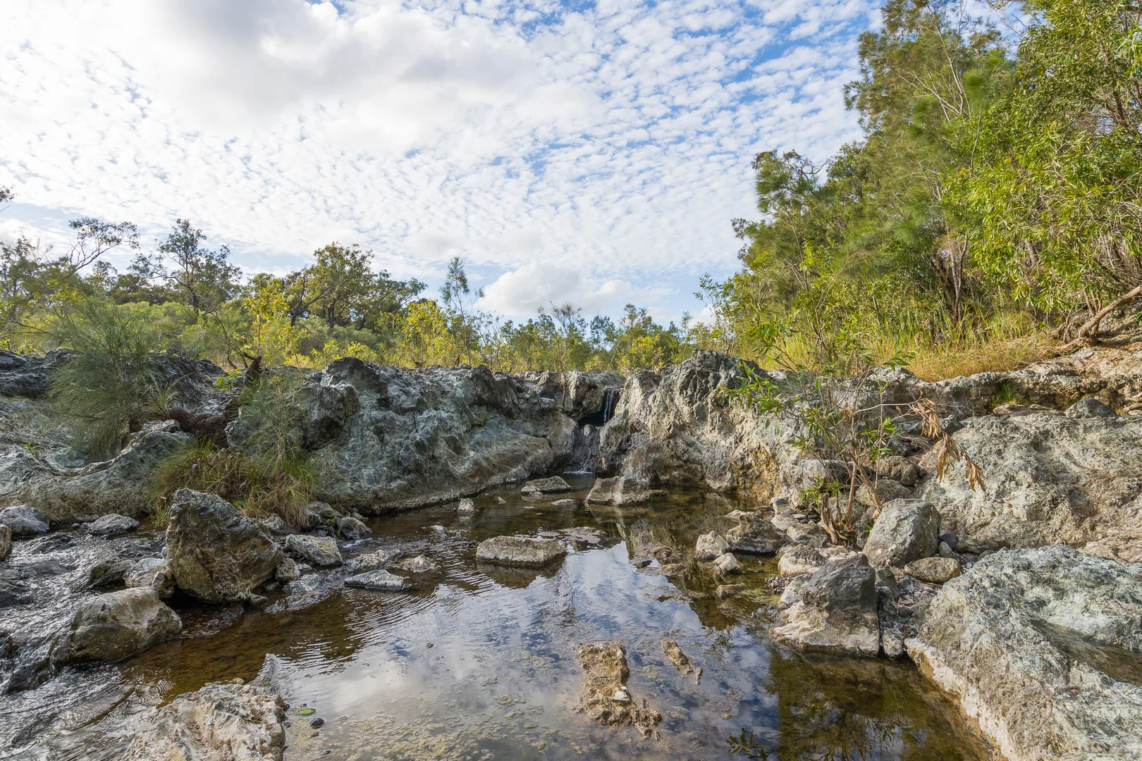 Image 36