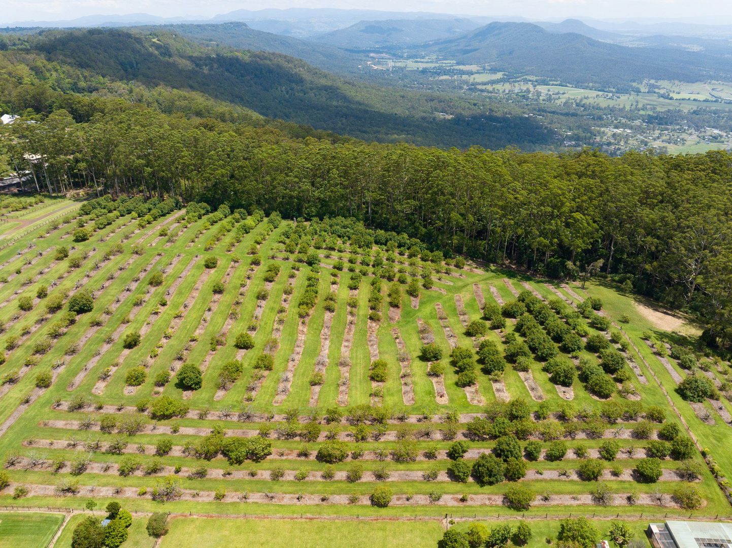 Lot 8/41 -43 Manitzky Road, Tamborine Mountain QLD 4272, Image 2