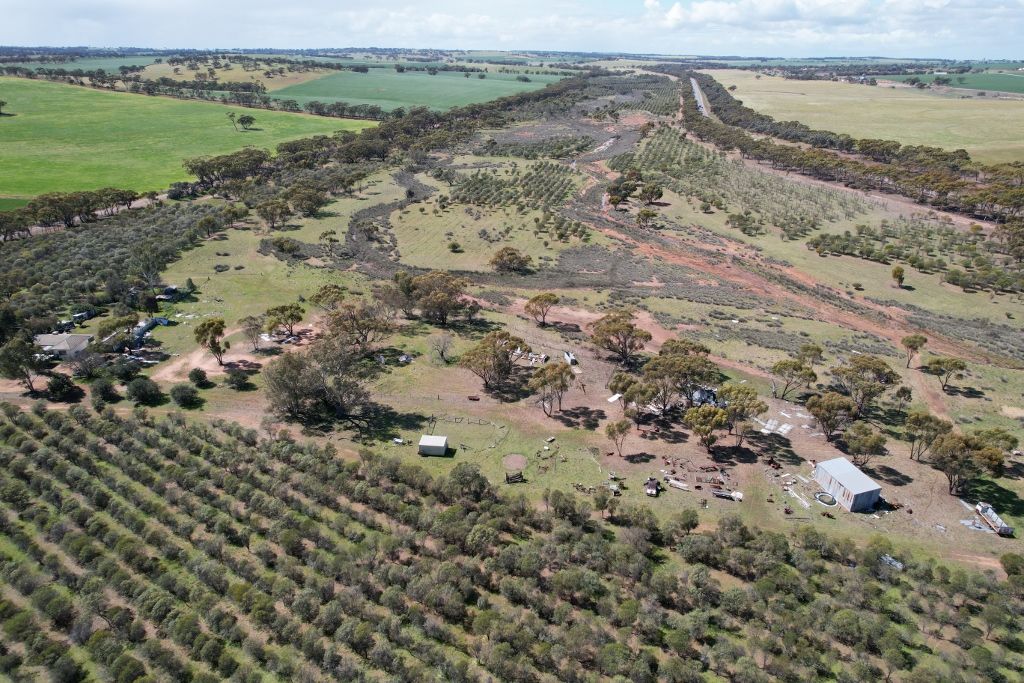 90 Clydesdale Road, Grass Valley WA 6403 House for Sale Domain