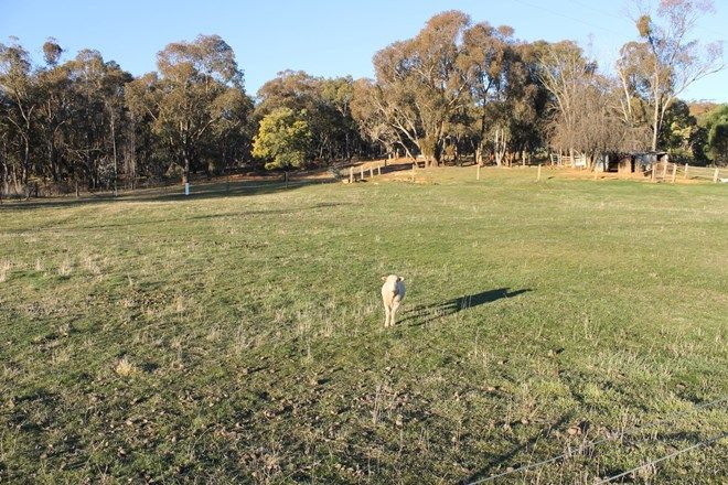 Picture of 66 Mine Road, BURRAGA NSW 2795