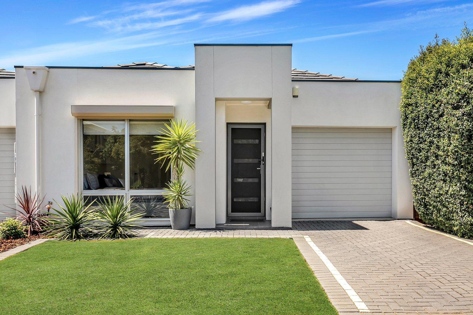 4B Parsons Grove, Park Holme SA 5043, Image 0