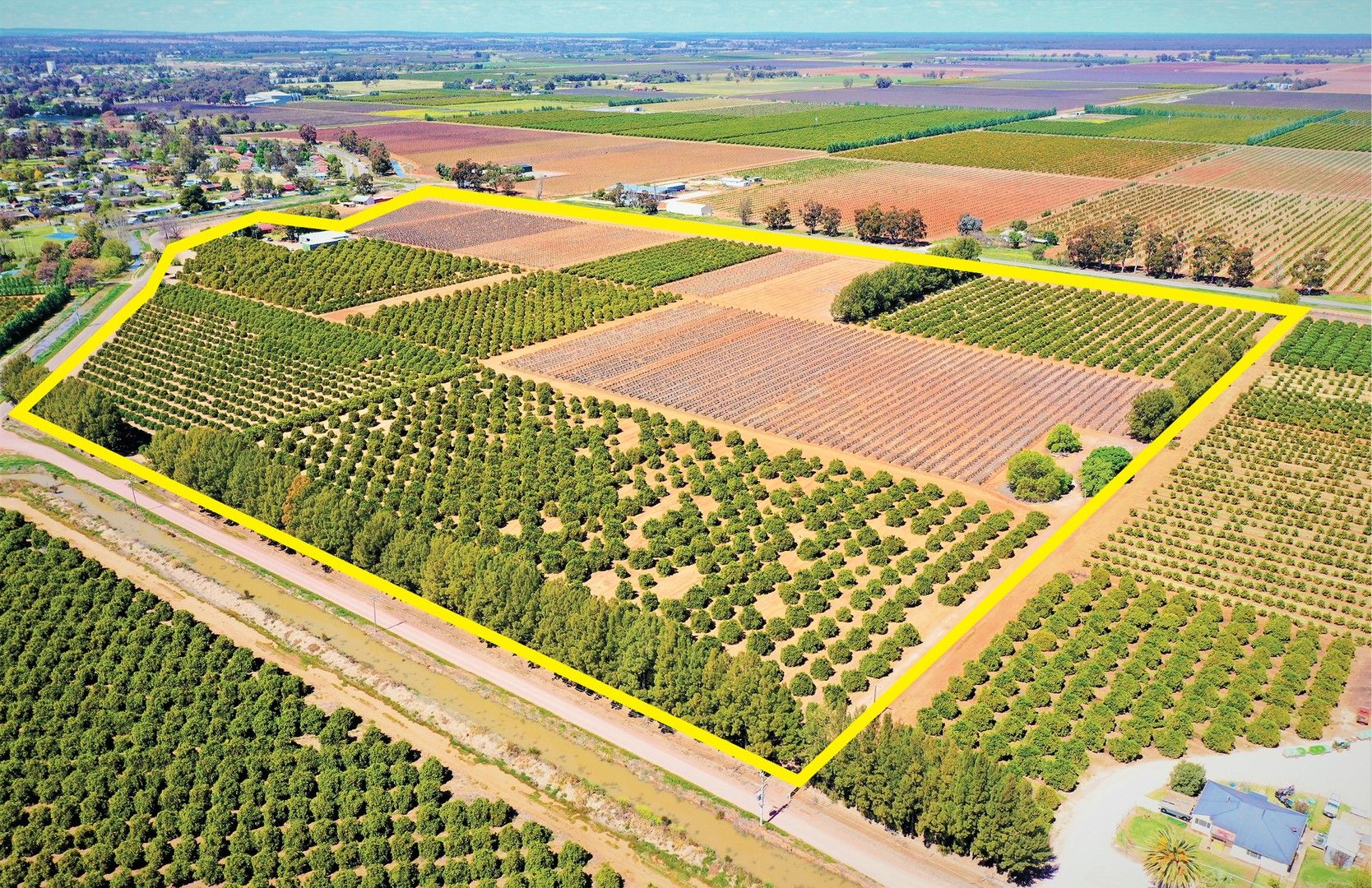 915 Henry Lawson Drive, Leeton NSW 2705 House for Sale Domain