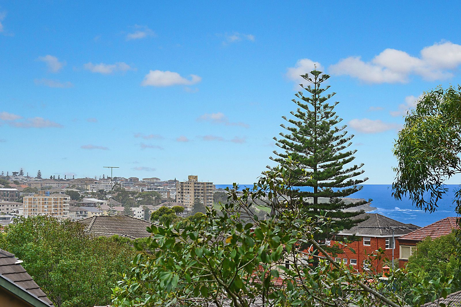 2/35a Dudley Street, Coogee NSW 2034, Image 1
