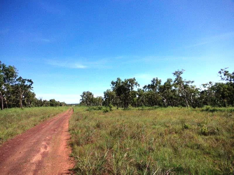 Image 12
