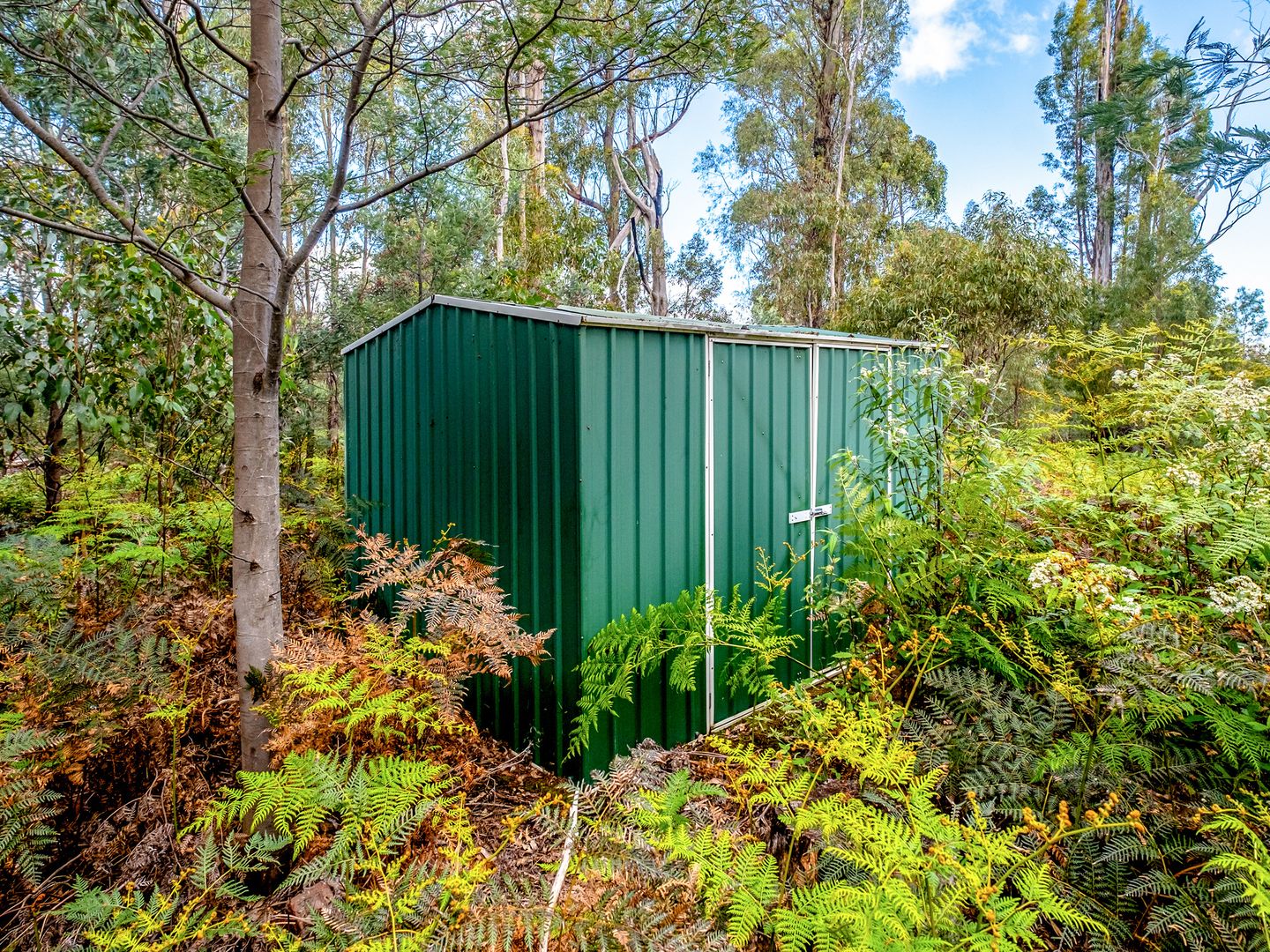 Lot 1 White Hill Road, Forcett TAS 7173, Image 1