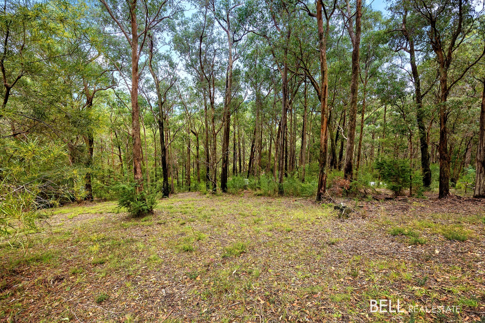 Additional image 5 of 3 Summit Close, East Warburton VIC 3799