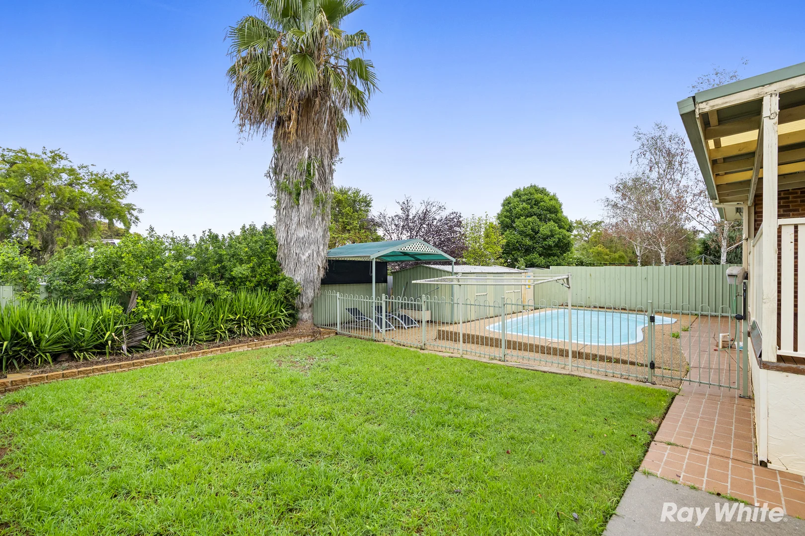 Additional image 16 of 14 Carmody Street, Kooringal NSW 2650