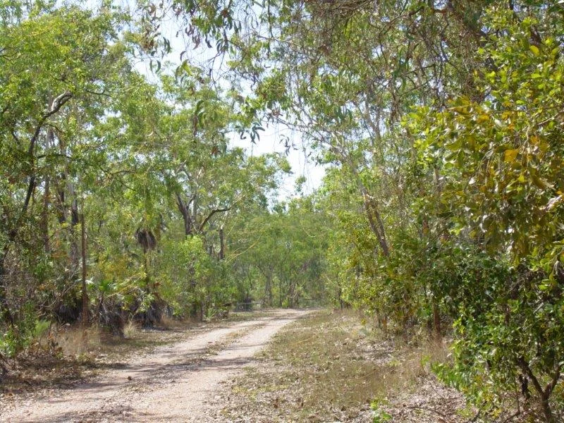 Image 8