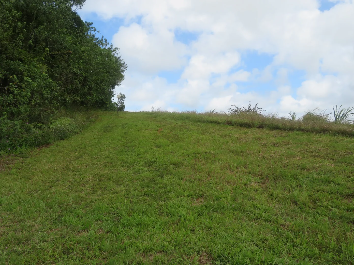 Additional image 5 of 85 Gundah Singh Road, Innisfail QLD 4860