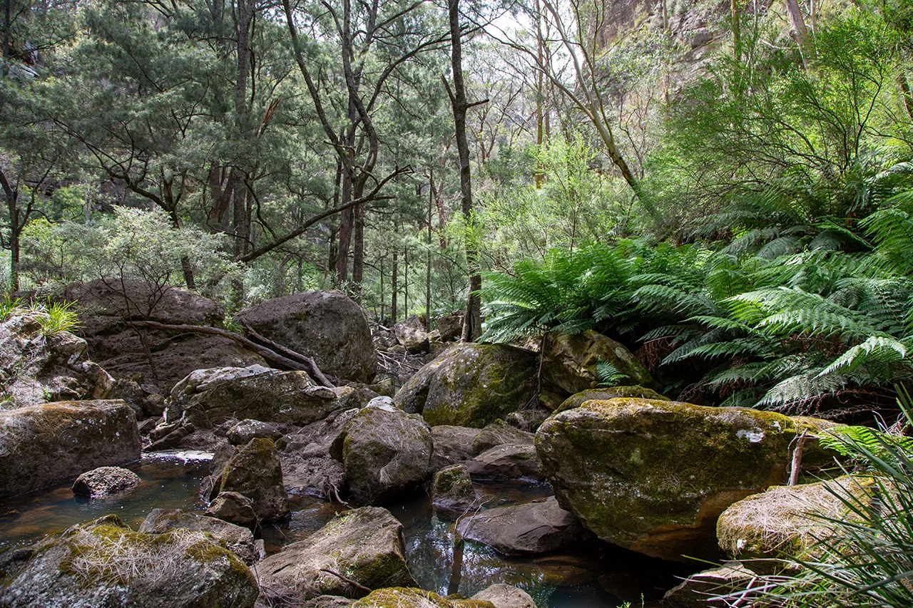 Image 11
