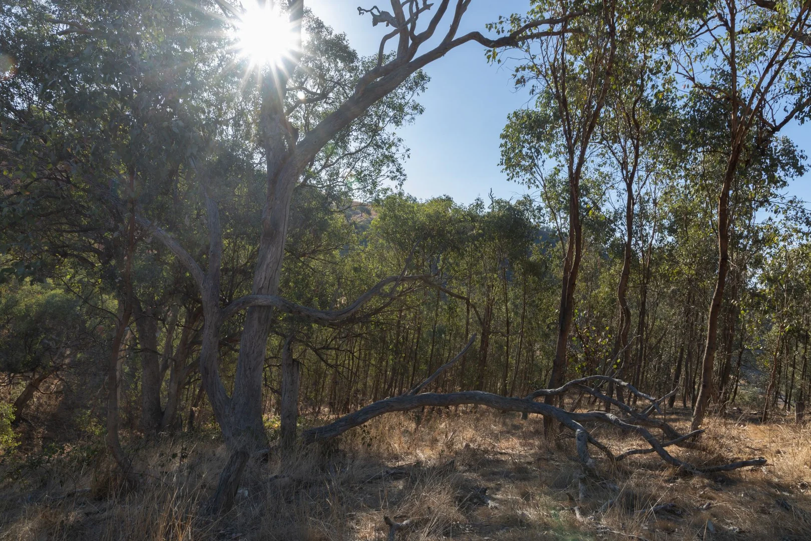 Additional image 30 of 189 Coyles Road, Wodonga VIC 3690