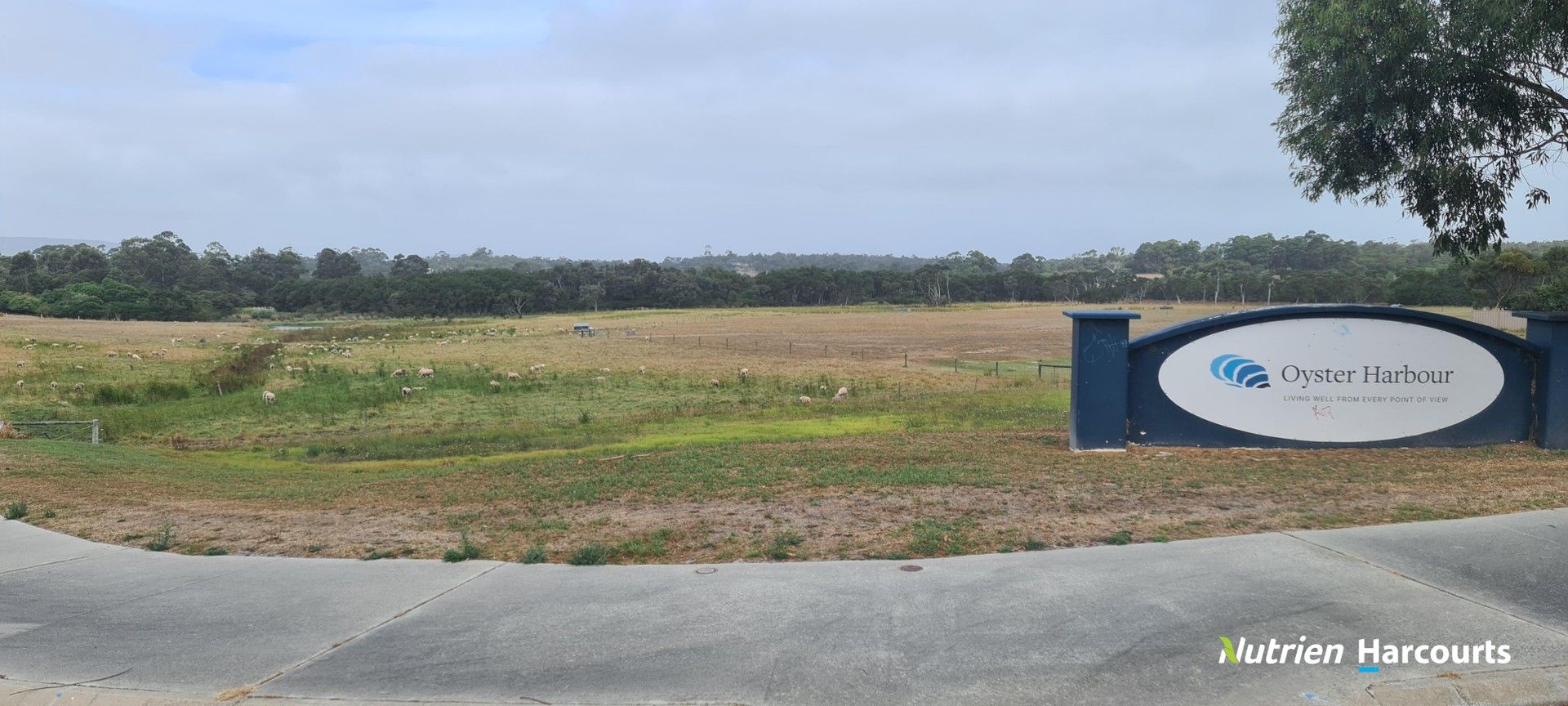 Lot 39 Elizabeth Street, Bayonet Head WA 6330, Image 0