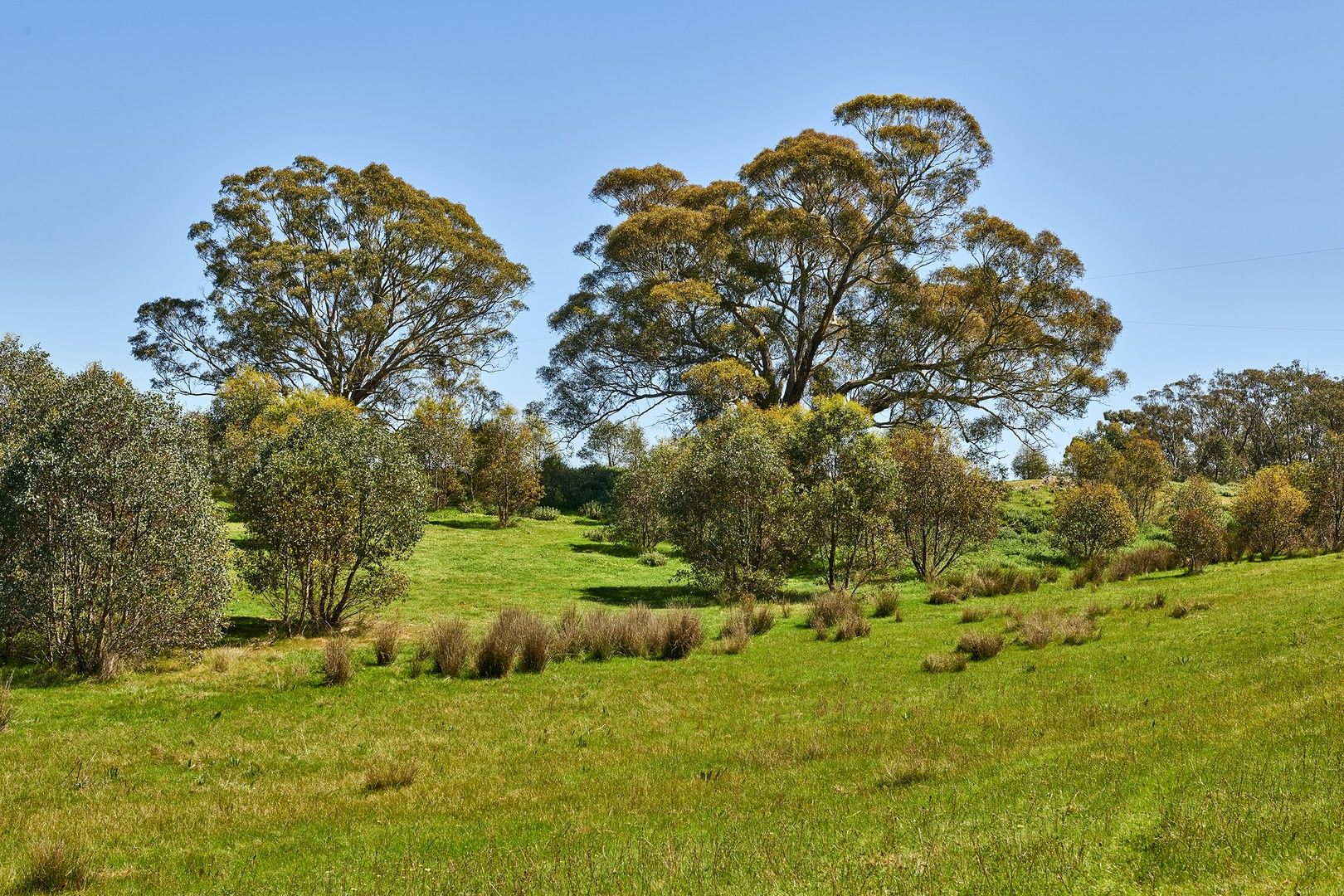 CAB15D Spring Flat Road, Heathcote VIC 3523, Image 0