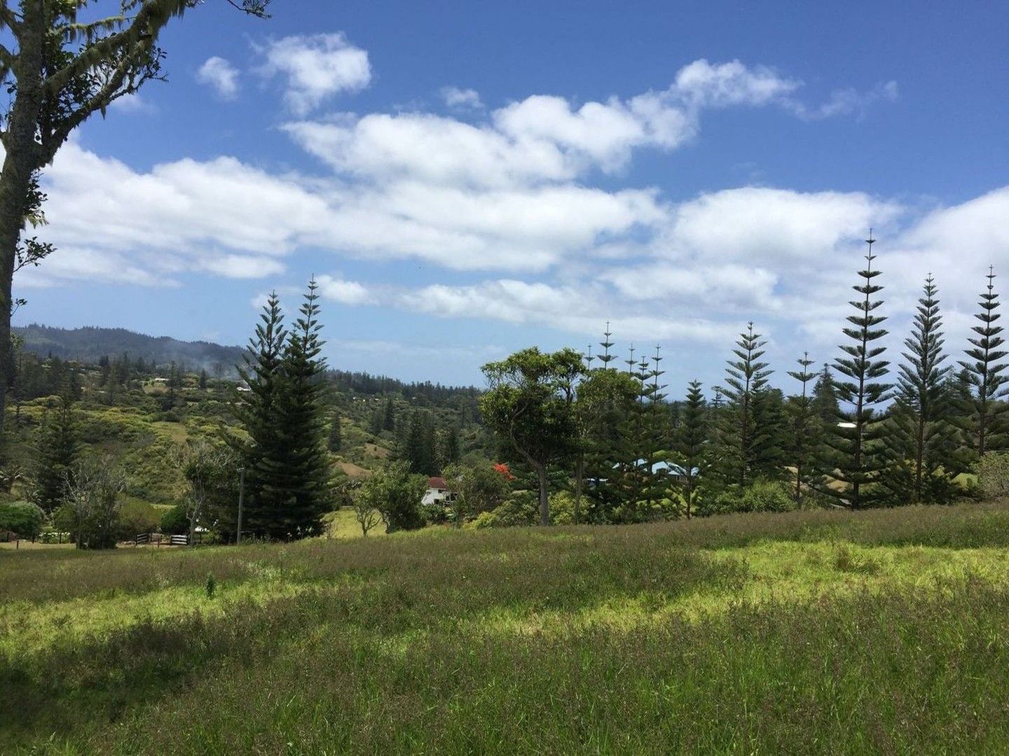 Martins Road, Norfolk Island NSW 2899, Image 0