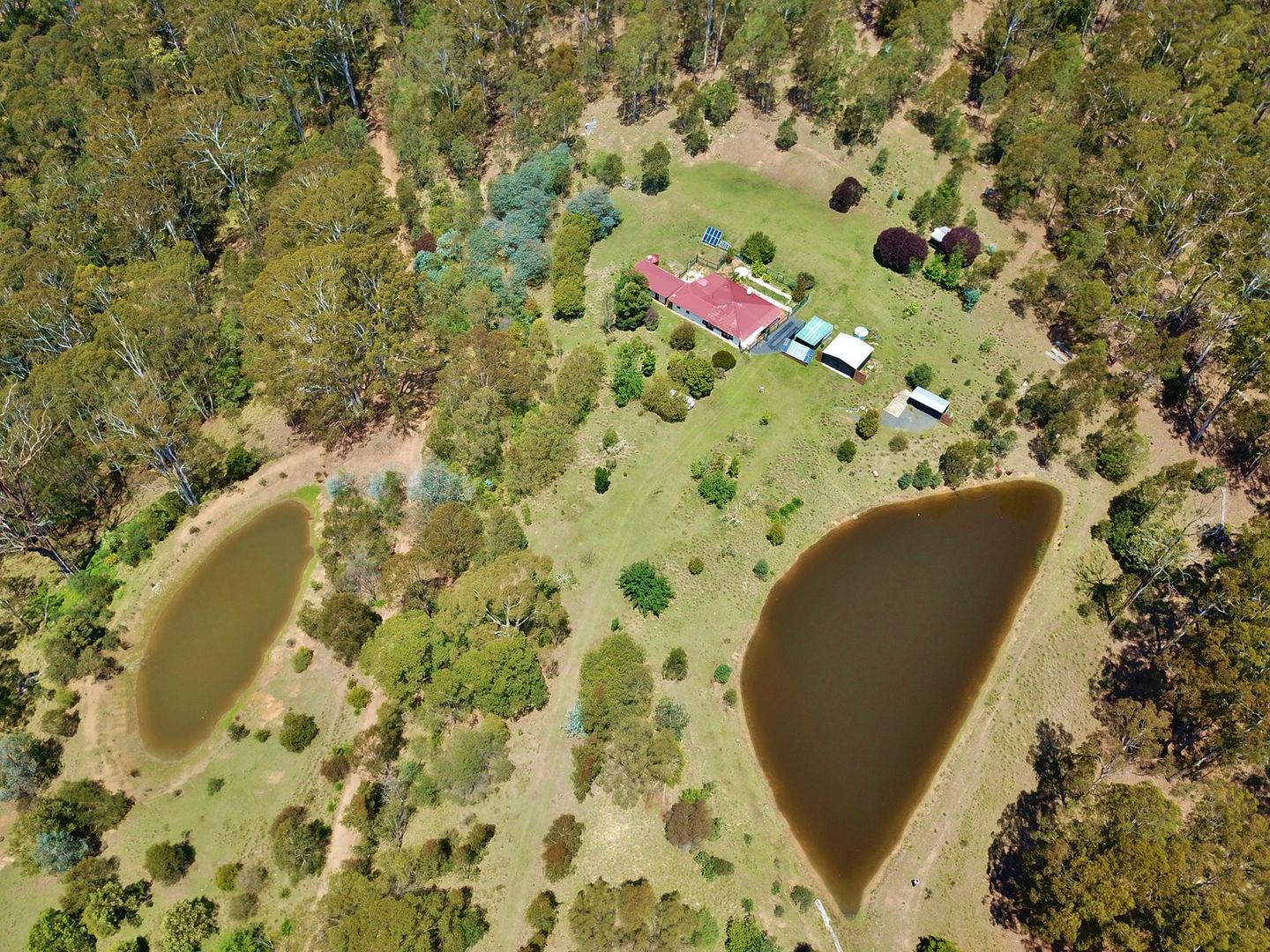 535 Devils Hole Rd, Wyndham NSW 2550, Image 1