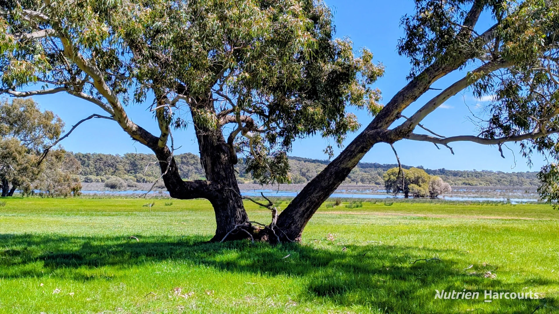 Additional image 9 of Lot 52 & 53 Cowalla Road, Cowalla, Gingin WA 6503