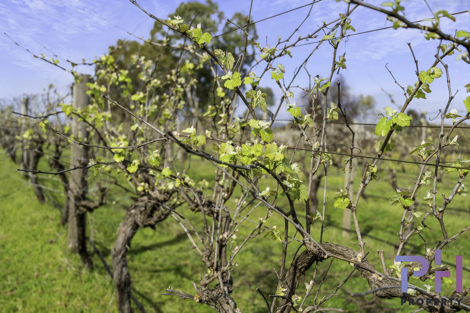 Additional image 2 of 384A Sinclairs Road, Strathfieldsaye VIC 3551