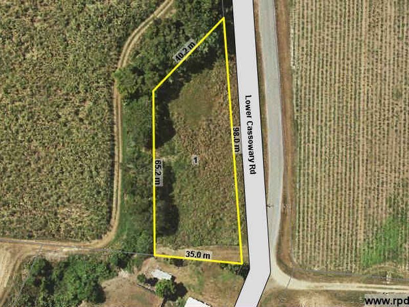 1 Lower Cassowary Road, CASSOWARY QLD 4873, Image 1