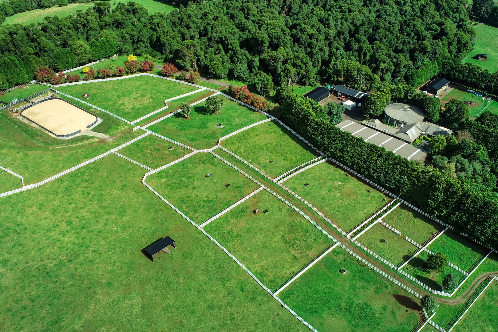 Additional image 23 of 101 Pearsons Lane, Robertson NSW 2577