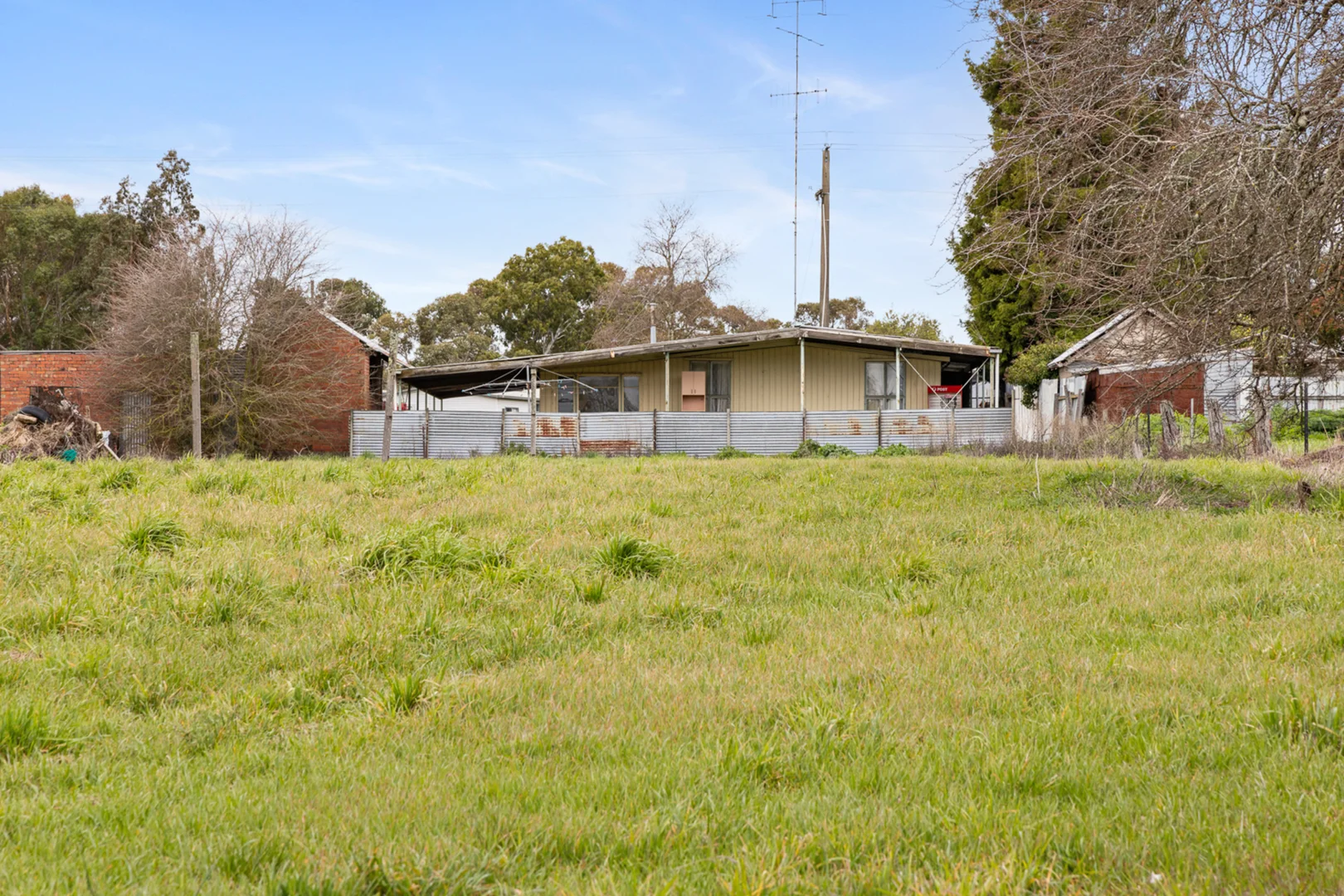Image 11