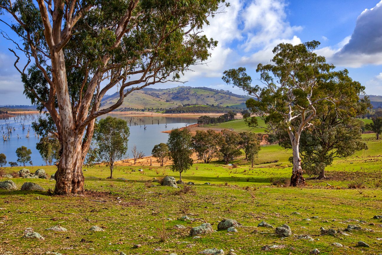 "Boxbourne" River Road, Wymah NSW 2640, Image 0