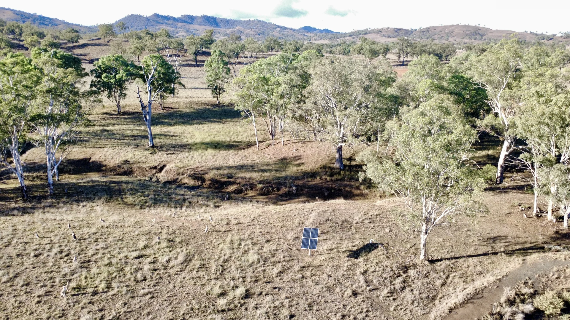 Additional image 12 of "Waverly Paddock" Waverley Road Waverly (Via), Scone NSW 2337