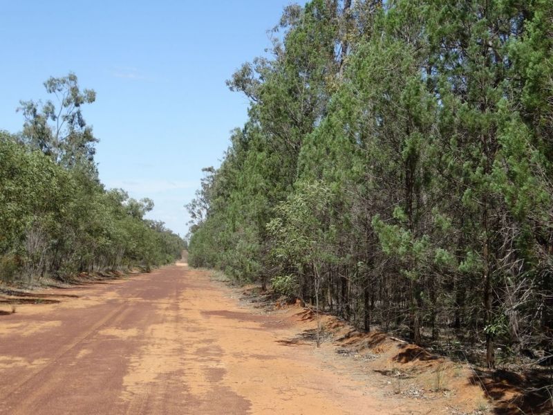 621 Acres - Lot 6 Aytons Road, Miles QLD 4415, Image 1