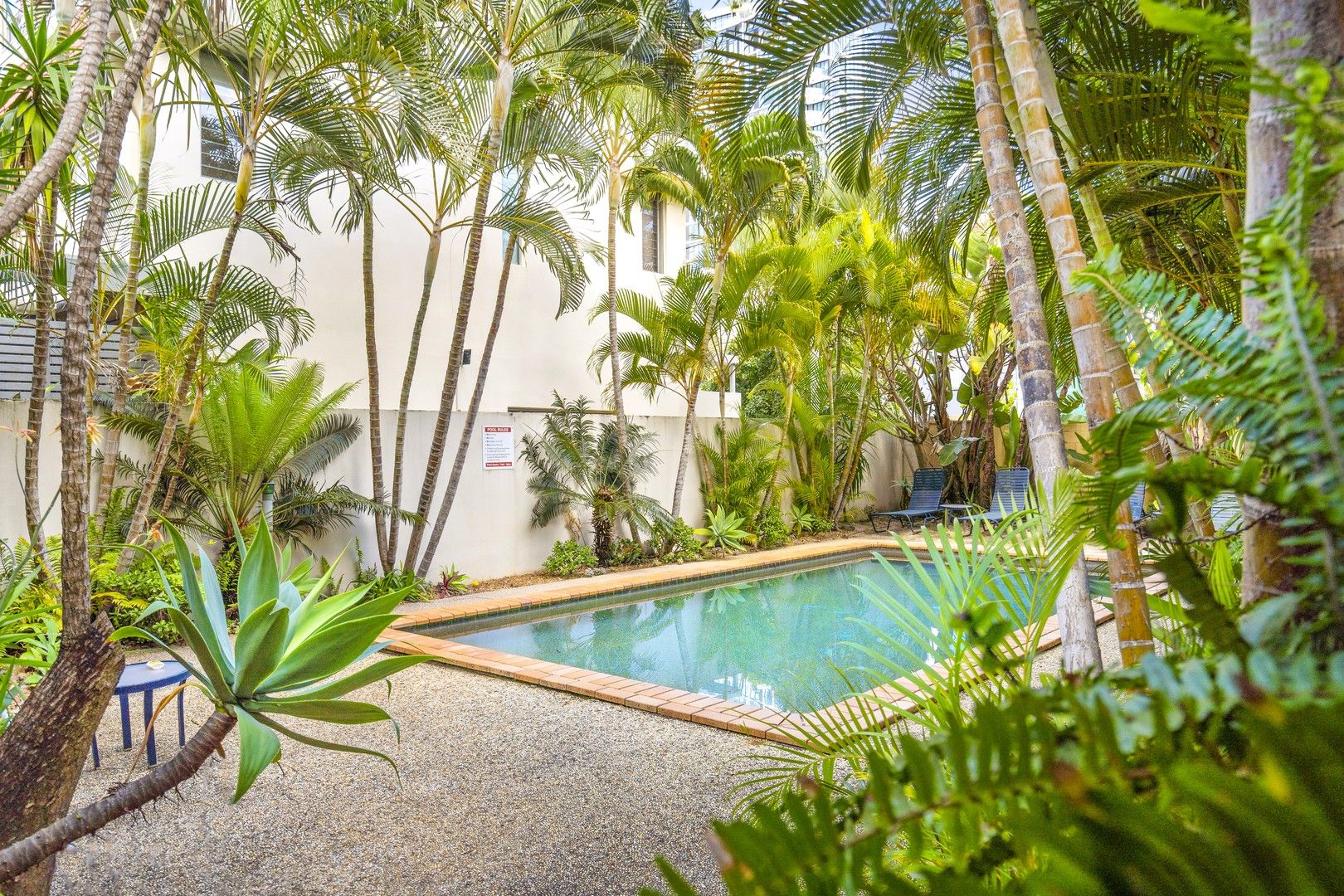 1 bedrooms Apartment / Unit / Flat in 5/14 First Avenue BROADBEACH QLD, 4218