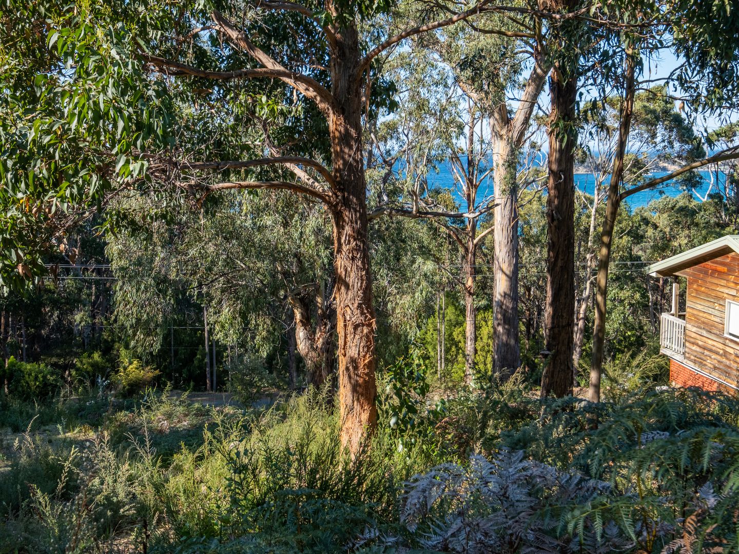 142 Blowhole Road, Eaglehawk Neck TAS 7179, Image 2