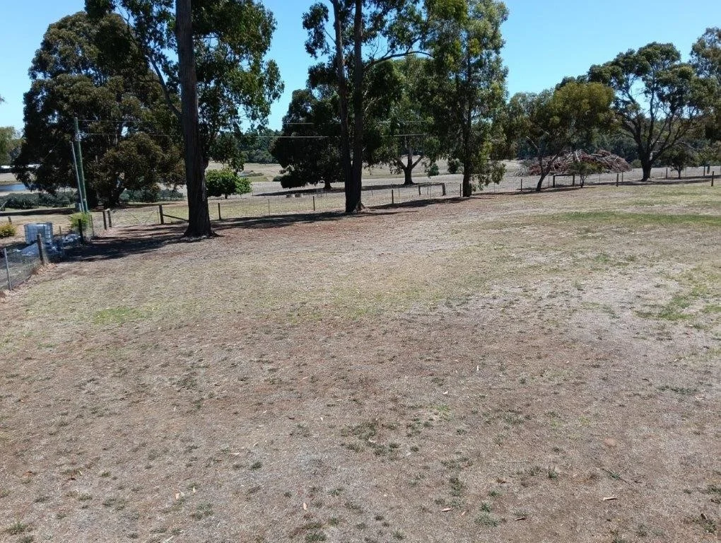 Image 15