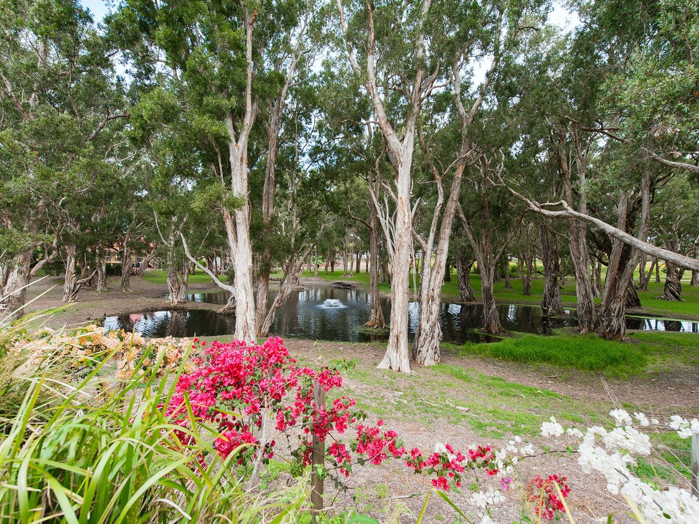 21 Lagoons Circuit, Nelson Bay NSW 2315, Image 2