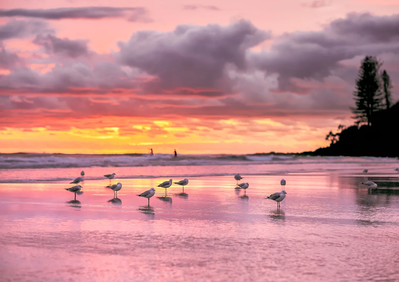 Additional image 37 of 5 Bluejay Street, Burleigh Waters QLD 4220