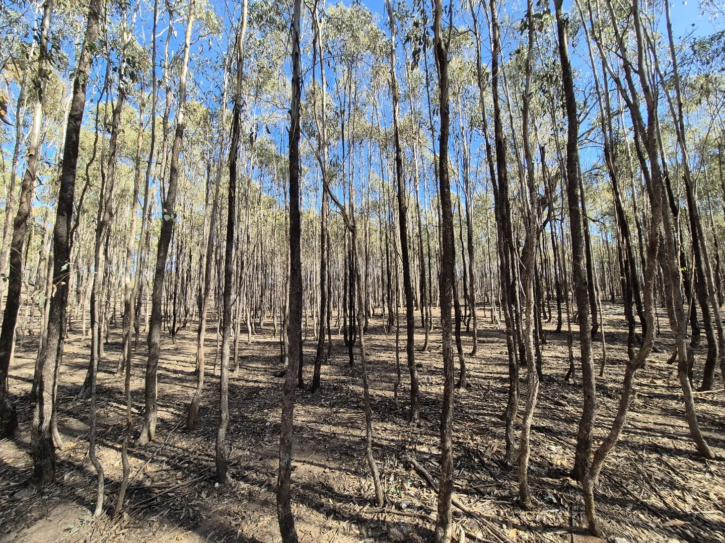 Image 12