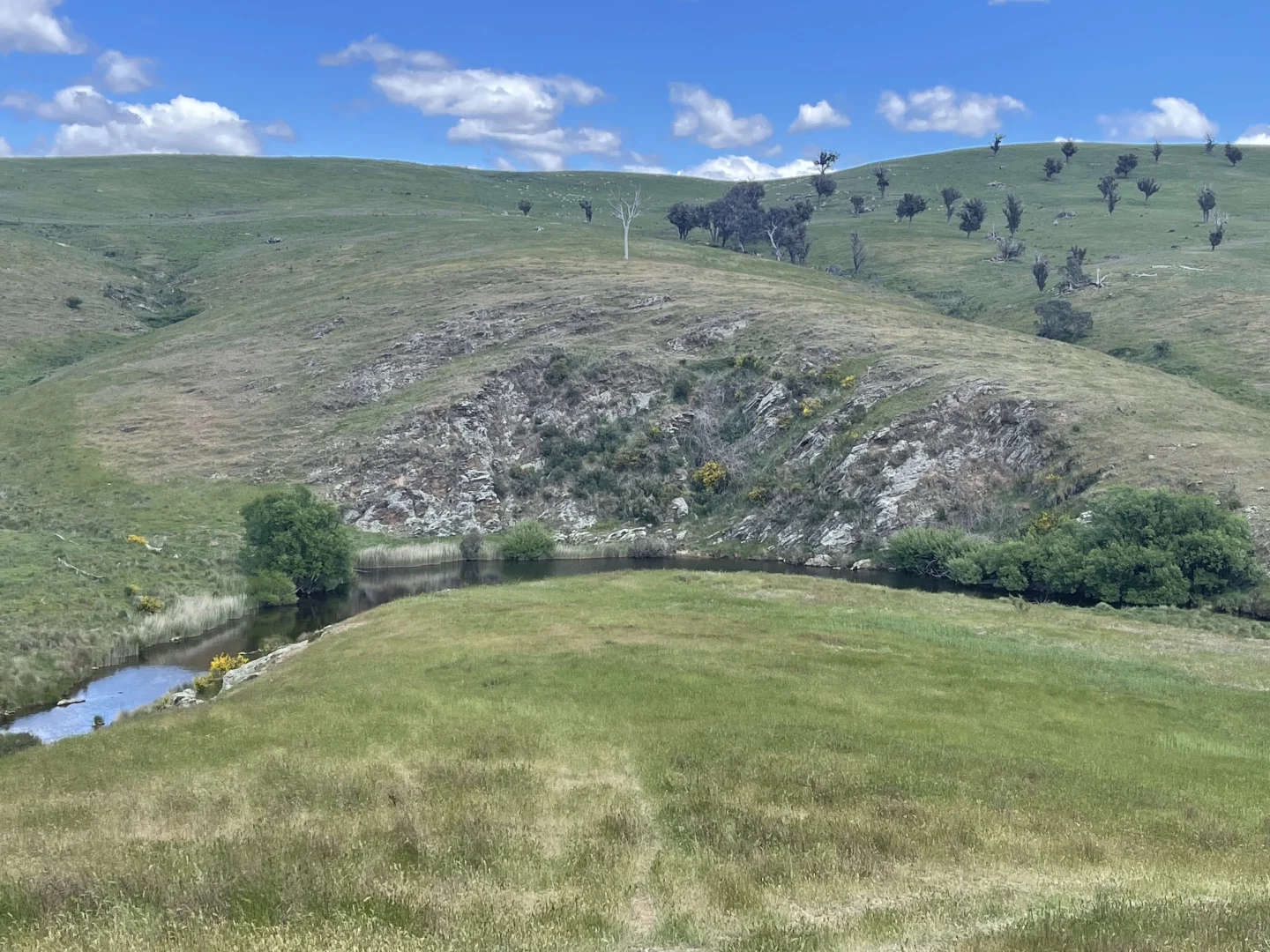 Image 12