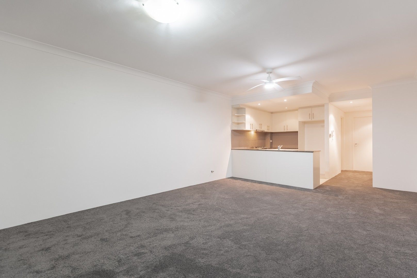 1 bedrooms Apartment / Unit / Flat in 12/8-12 Ascot Street KENSINGTON NSW, 2033