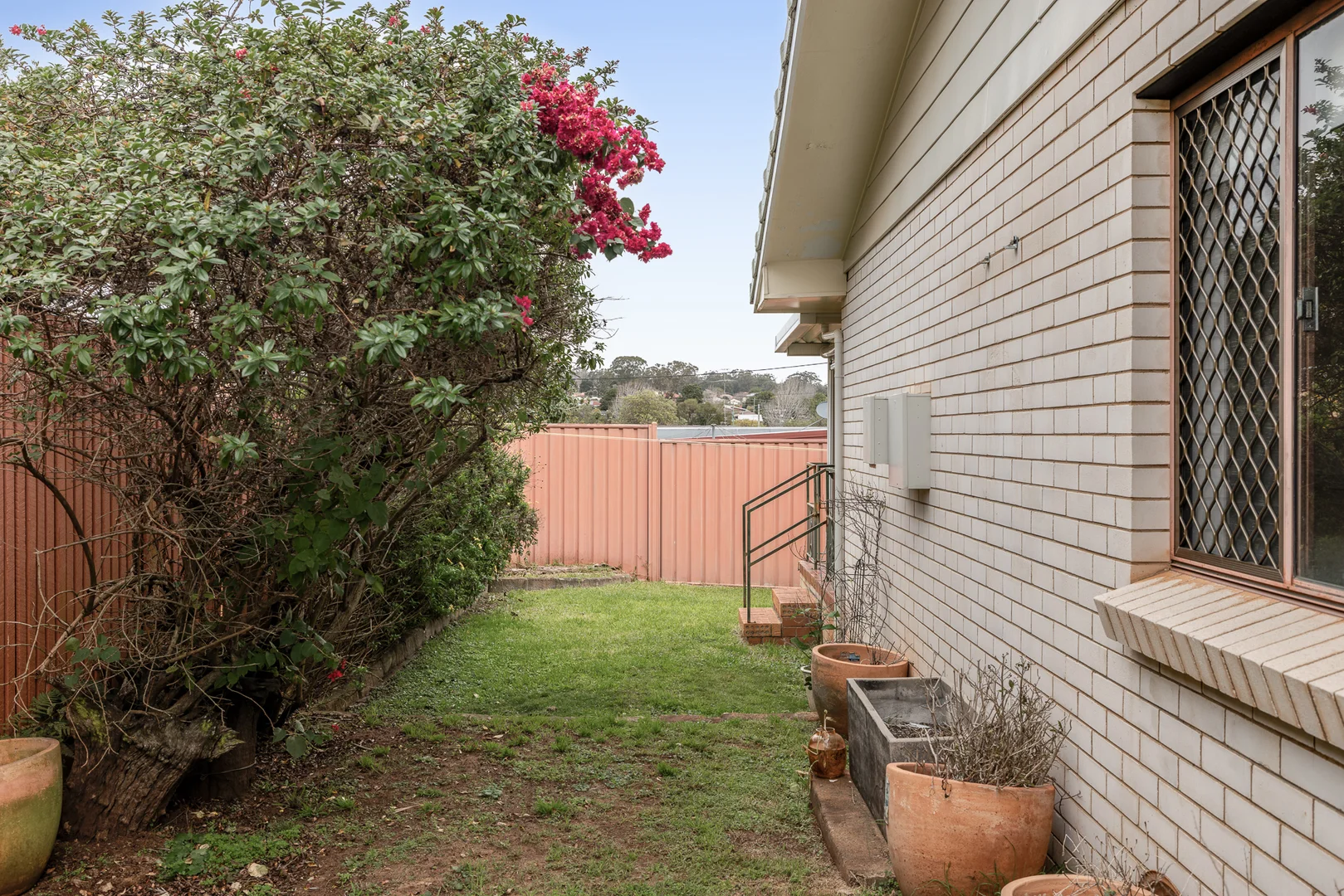 Image 14