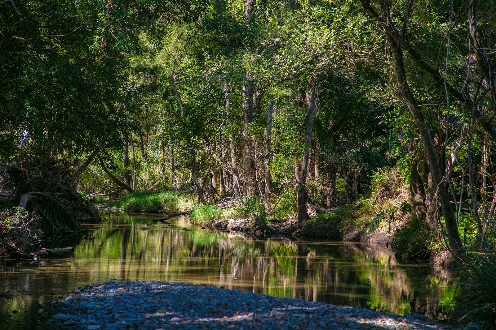 61 Dr Page Road, Conondale QLD 4552, Image 1