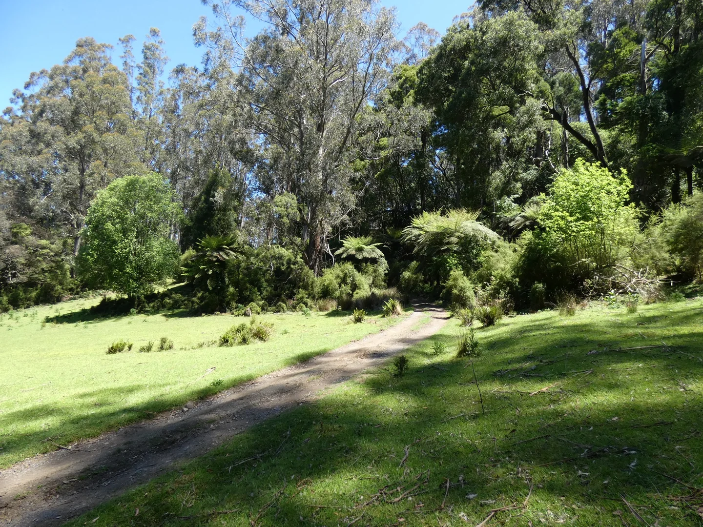 Image 20