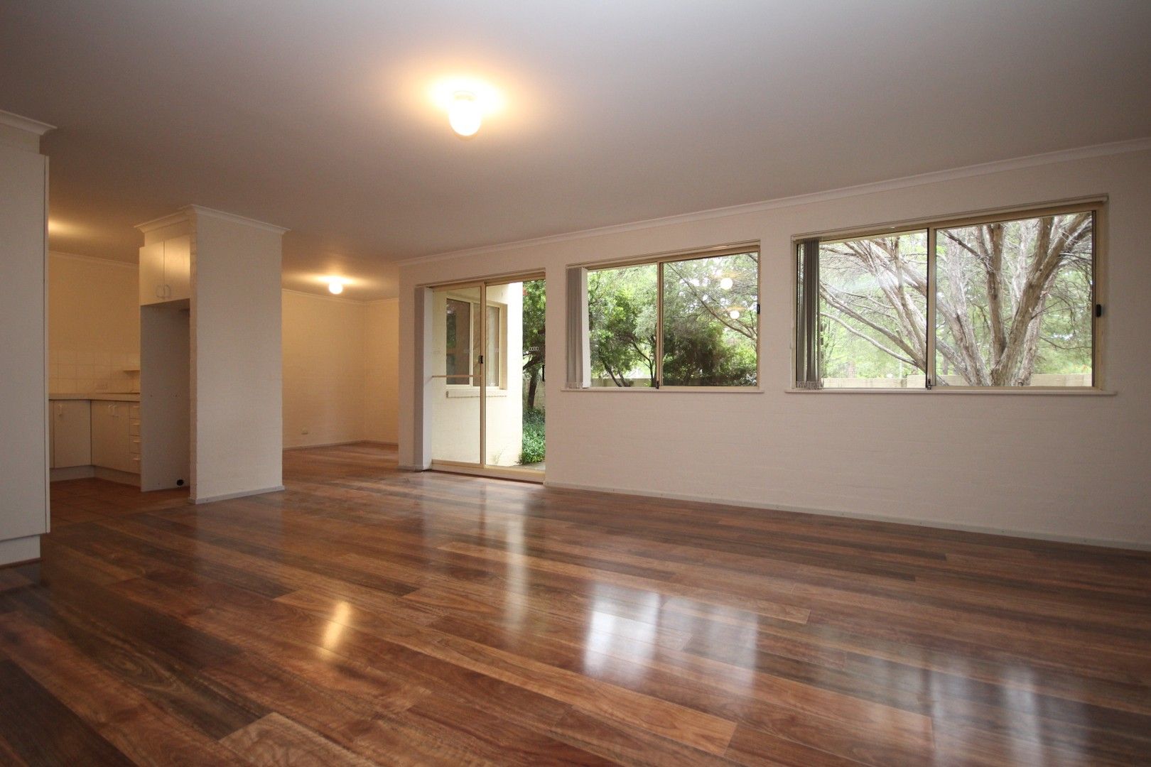 1/38 Bootle Place, Phillip ACT 2606 Apartment For Rent 490 Domain