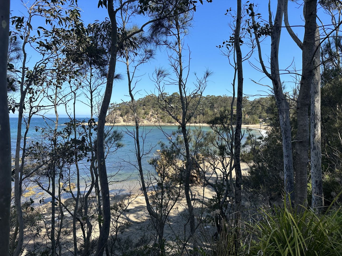 2/29 Bronte Crescent, Sunshine Bay NSW 2536 Townhouse For Rent 560