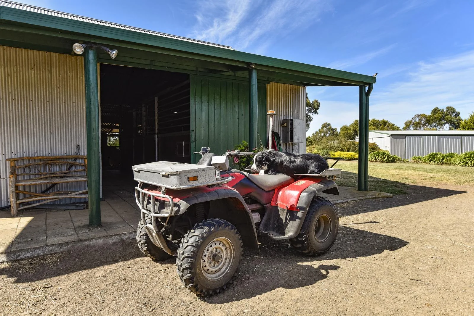 Image 21