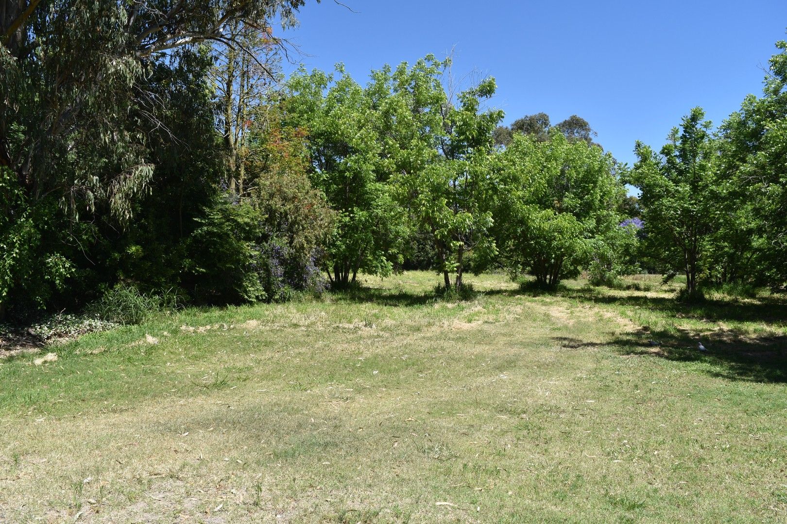 21 Riverview Terrace, Goondiwindi QLD 4390, Image 0