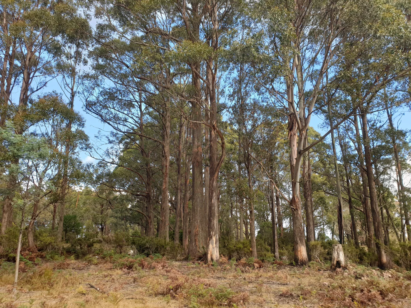 Image 15
