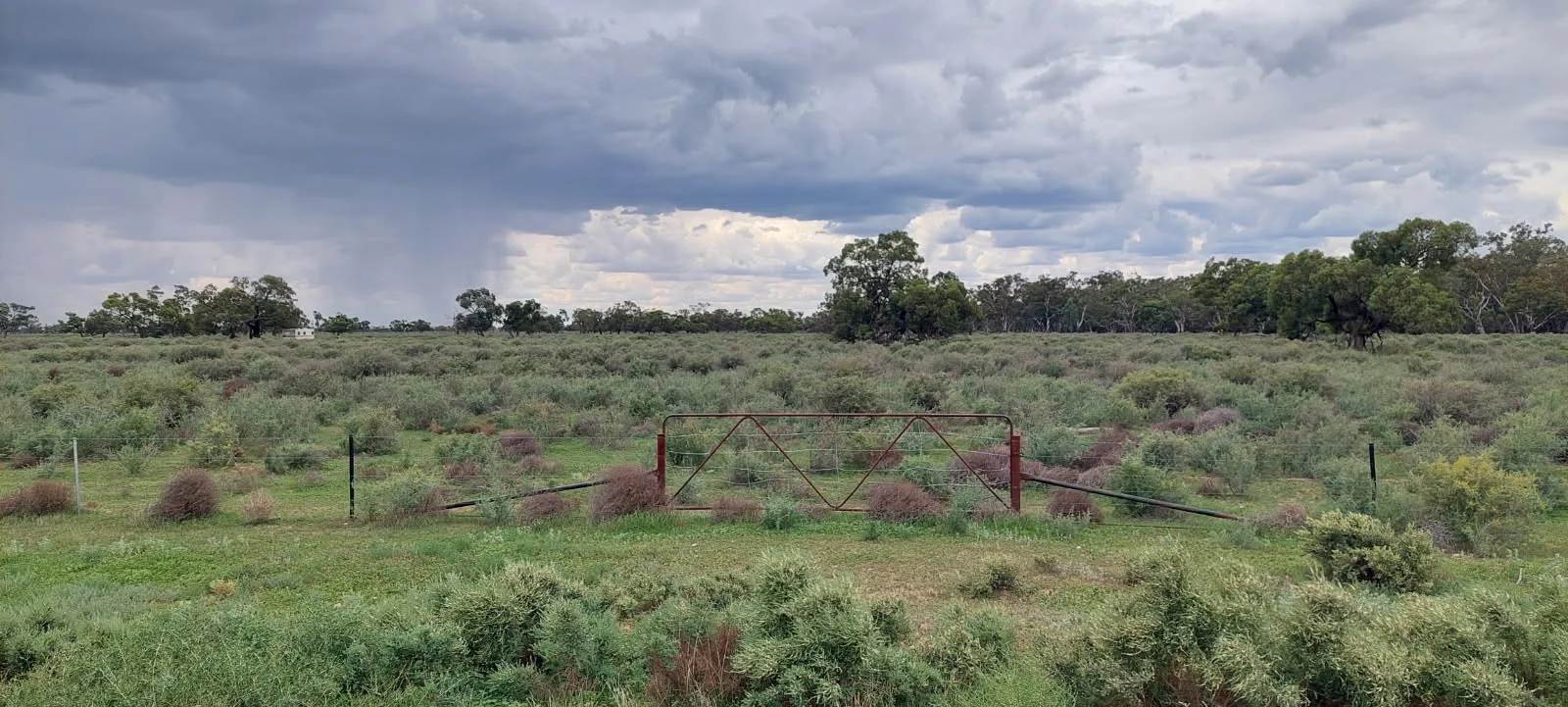 Lots 1,2,3,4 Blue Gum, Oxley NSW 2711