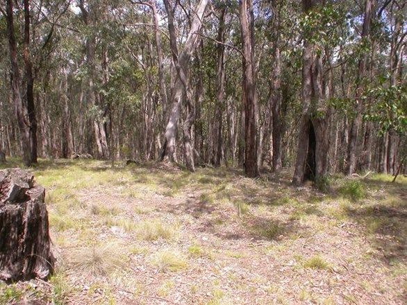 Lot 139 Peppermint Court, Dales Creek VIC 3341, Image 1