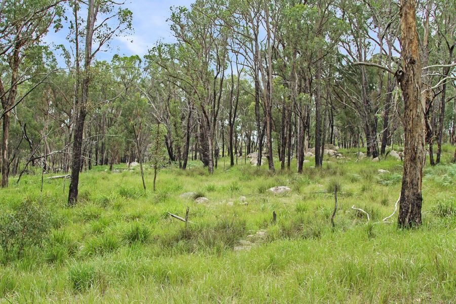 1214 Mt McKenzie Road, Tenterfield NSW 2372, Image 2