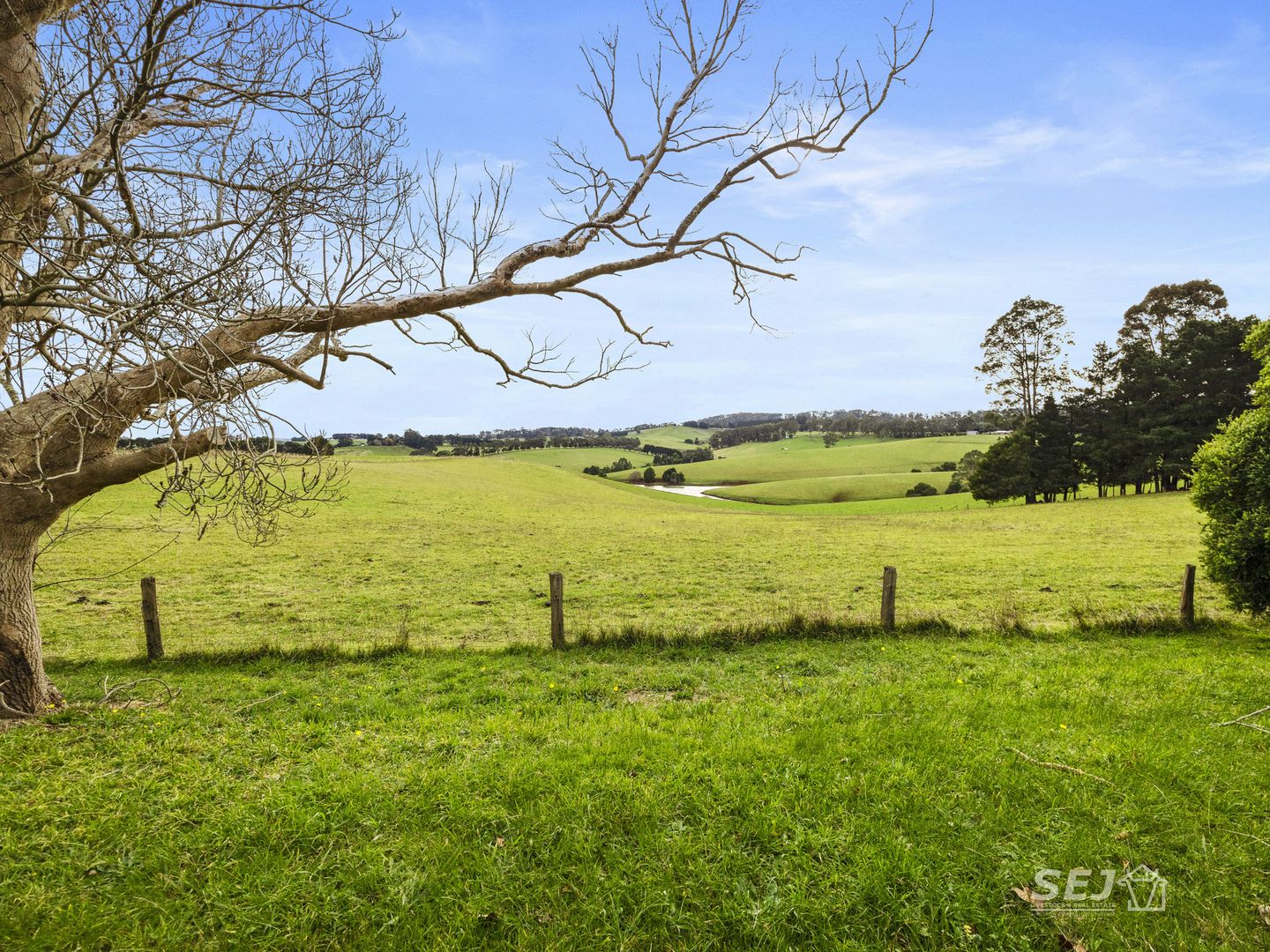 885 Berrys Creek Road, Mirboo North VIC 3871, Image 2